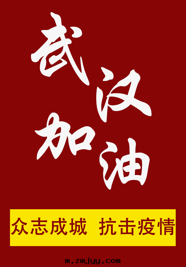 武漢加油(yóu).png