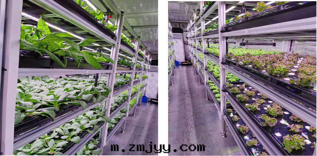 1612664606935338.png image.png