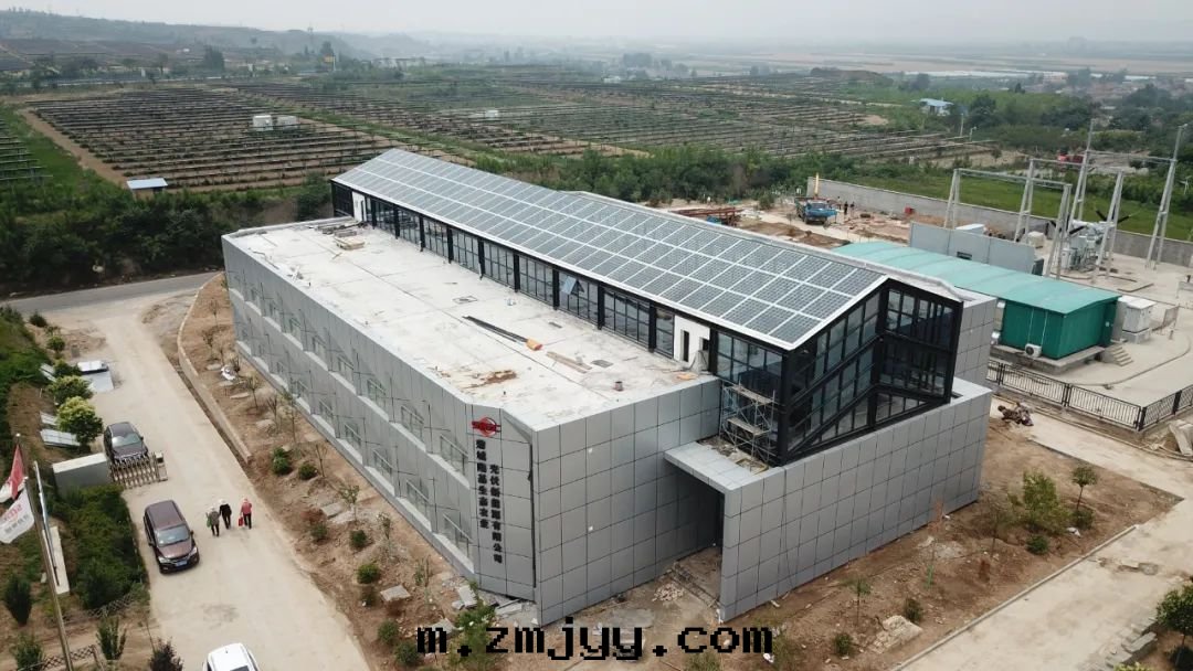 1653536151115273.jpg 4.jpg